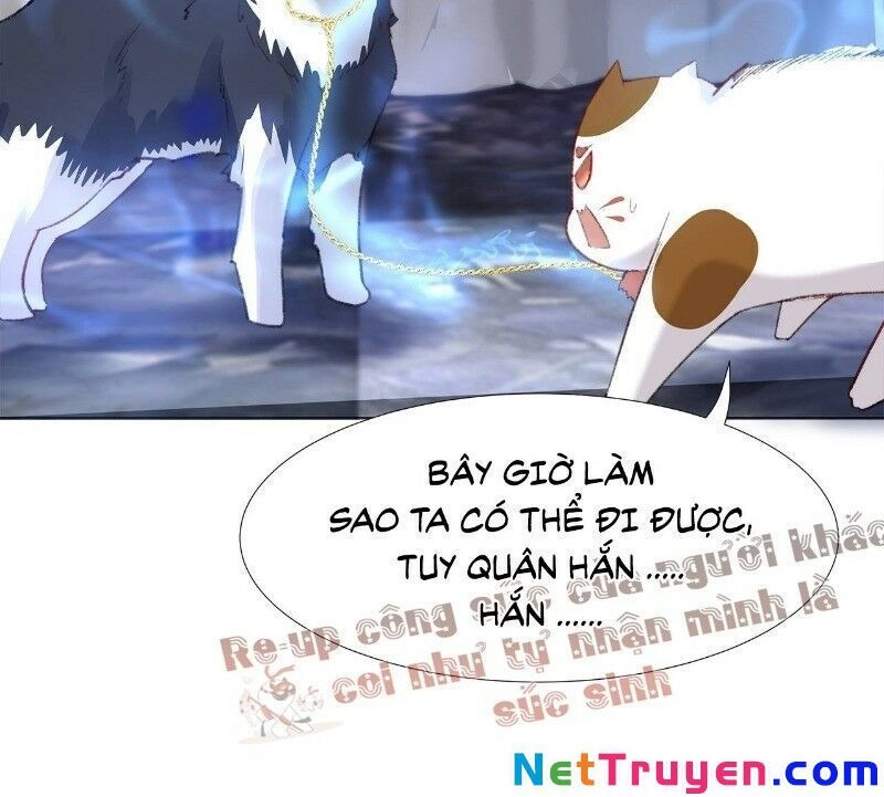 Ảnh Đế Yêu Hồ Chapter 24 - 39