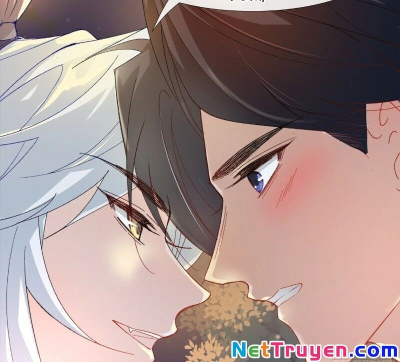 Ảnh Đế Yêu Hồ Chapter 26 - 42