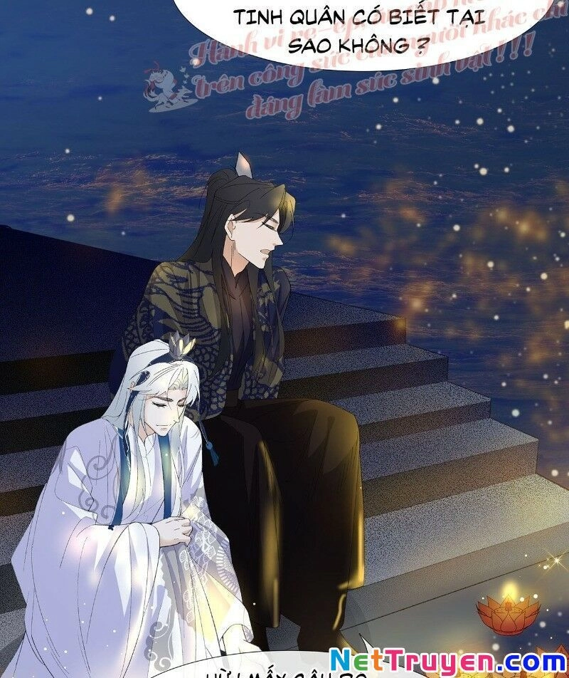 Ảnh Đế Yêu Hồ Chapter 26 - 53
