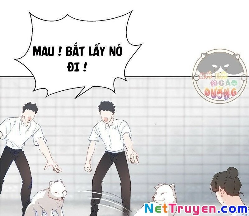 Ảnh Đế Yêu Hồ Chapter 29 - 31