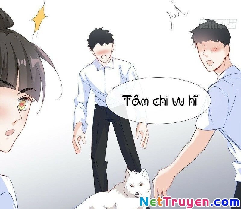 Ảnh Đế Yêu Hồ Chapter 29 - 37