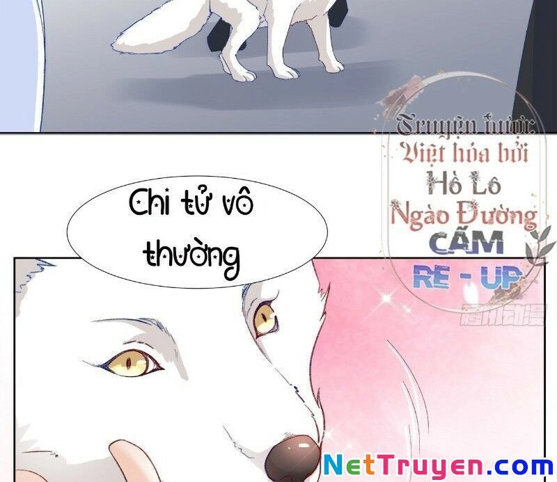 Ảnh Đế Yêu Hồ Chapter 29 - 38