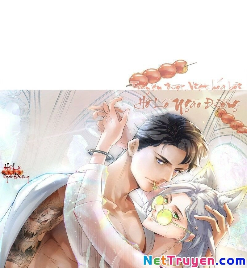 Ảnh Đế Yêu Hồ Chapter 36 - 1