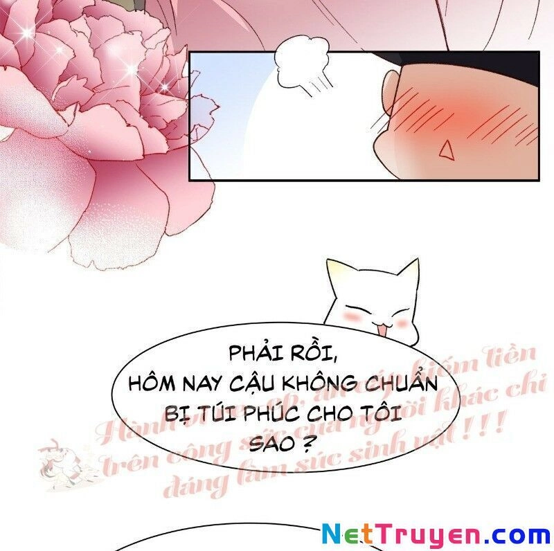 Ảnh Đế Yêu Hồ Chapter 37 - 40