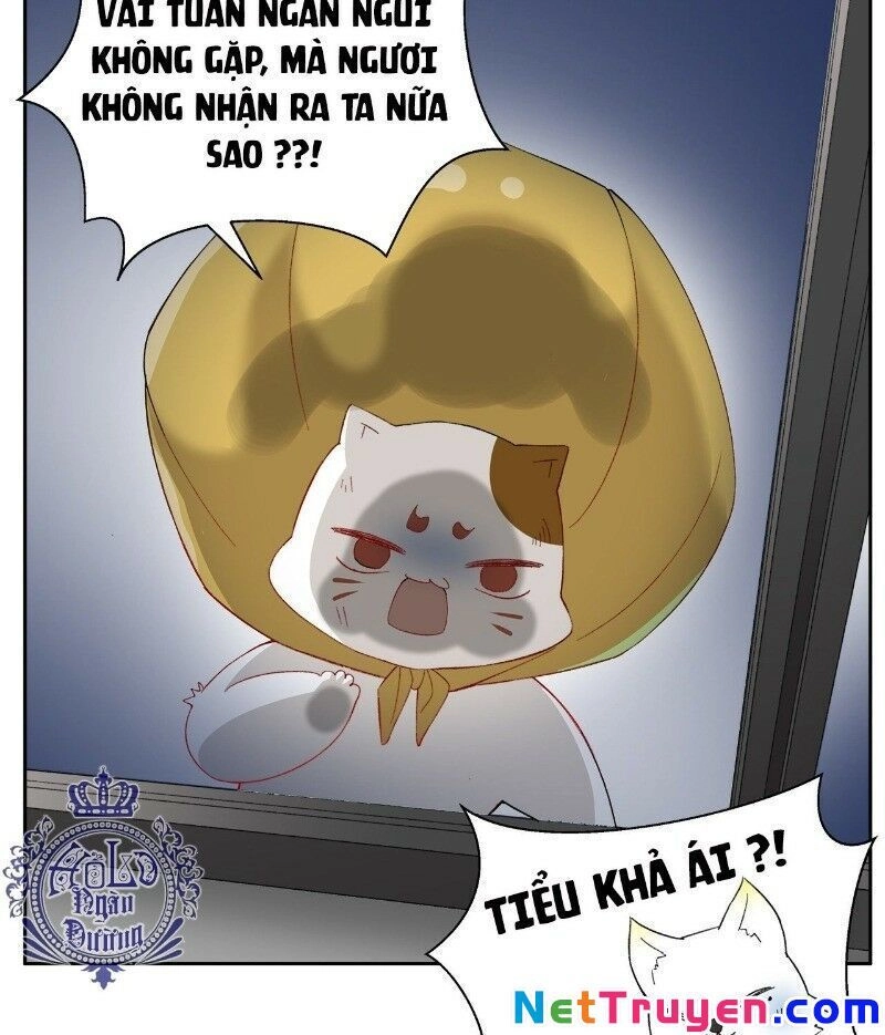 Ảnh Đế Yêu Hồ Chapter 39 - 9