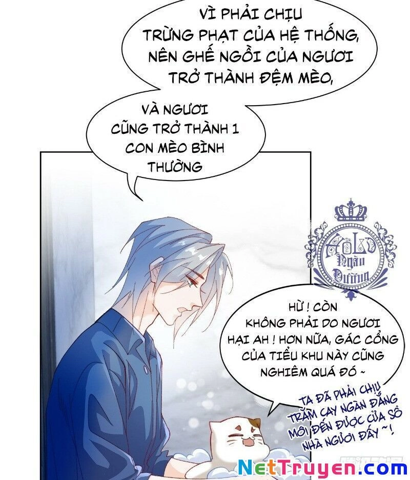 Ảnh Đế Yêu Hồ Chapter 39 - 15