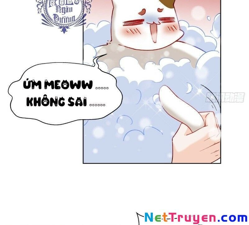 Ảnh Đế Yêu Hồ Chapter 39 - 17