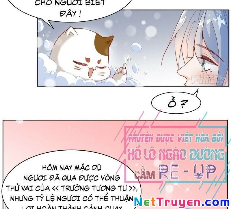 Ảnh Đế Yêu Hồ Chapter 39 - 20