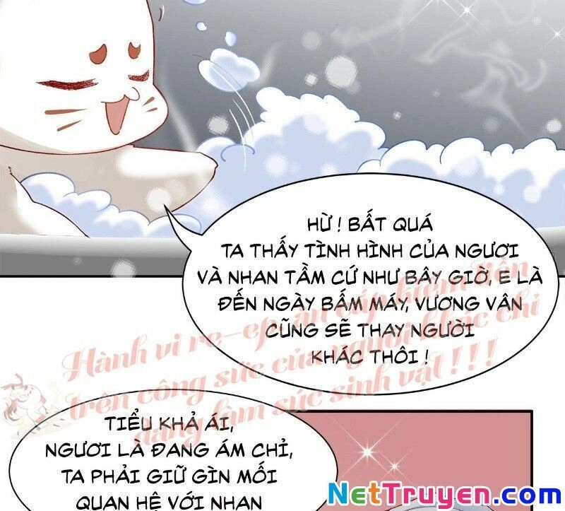 Ảnh Đế Yêu Hồ Chapter 39 - 23