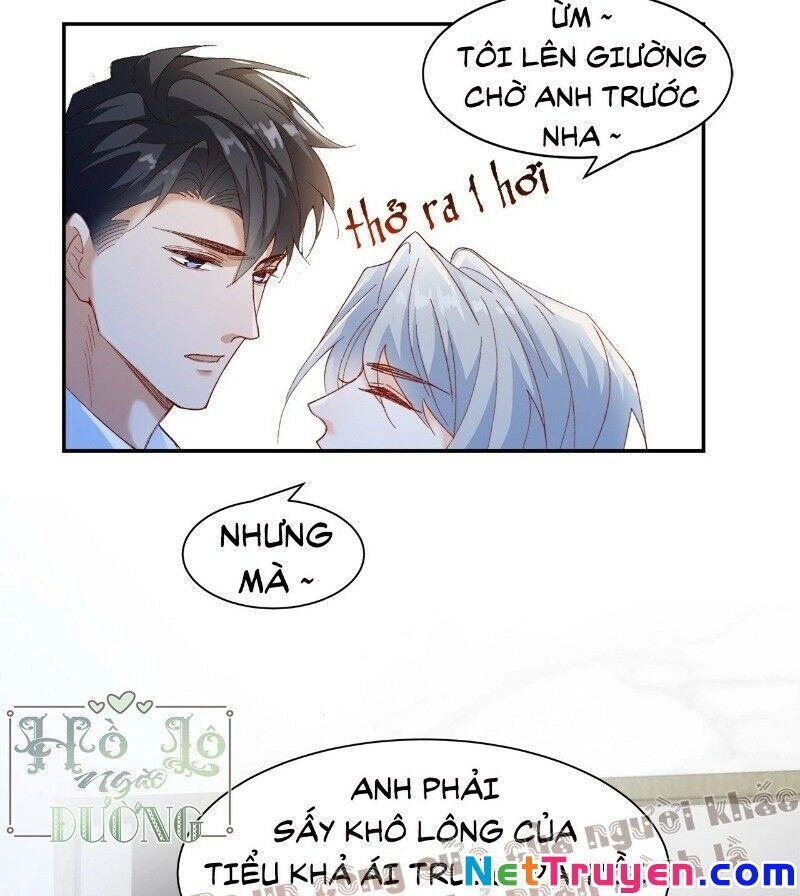 Ảnh Đế Yêu Hồ Chapter 40 - 7