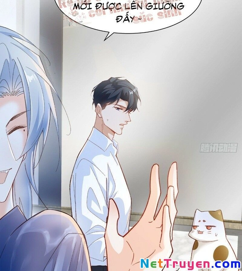 Ảnh Đế Yêu Hồ Chapter 40 - 8