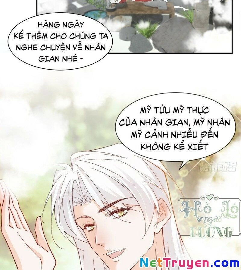 Ảnh Đế Yêu Hồ Chapter 40 - 12