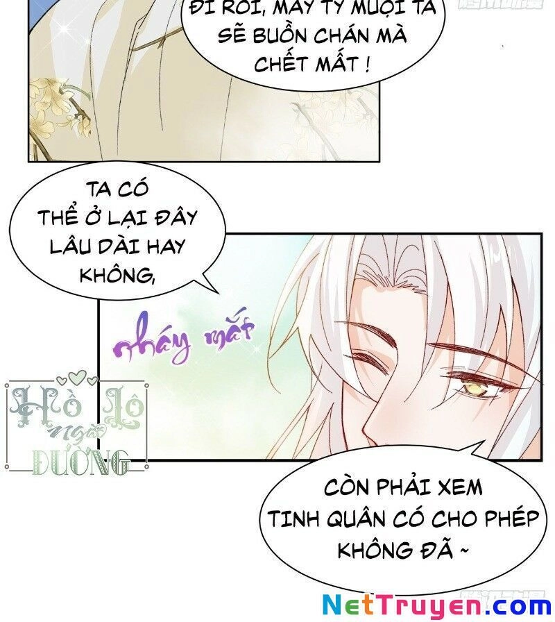 Ảnh Đế Yêu Hồ Chapter 40 - 15