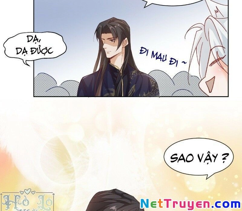 Ảnh Đế Yêu Hồ Chapter 40 - 18