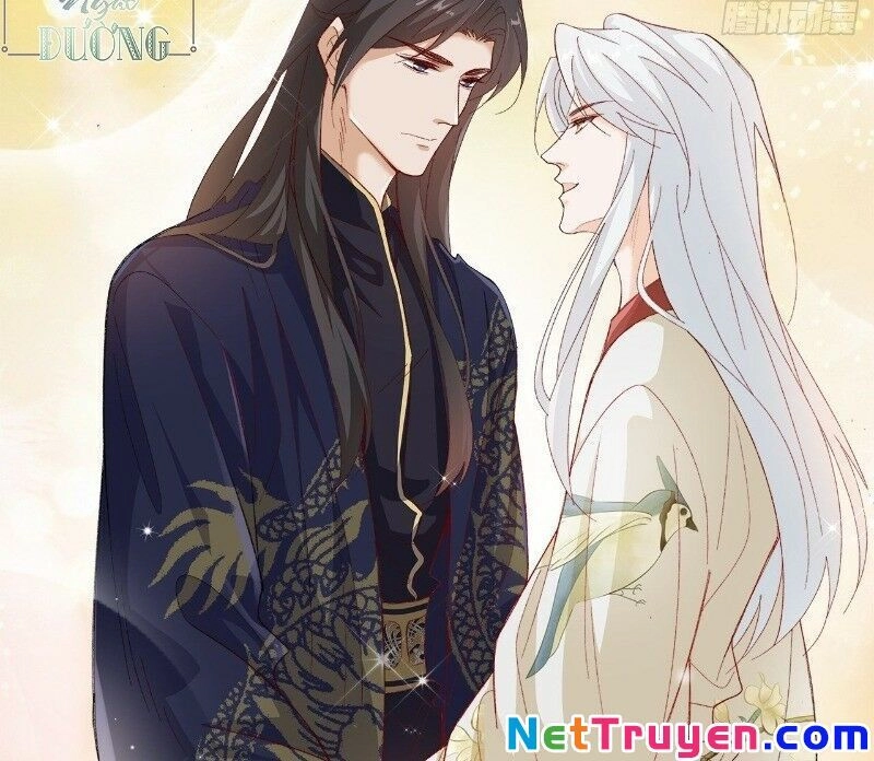 Ảnh Đế Yêu Hồ Chapter 40 - 19