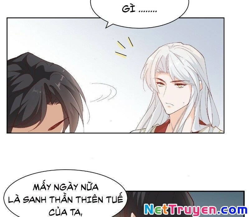 Ảnh Đế Yêu Hồ Chapter 40 - 21