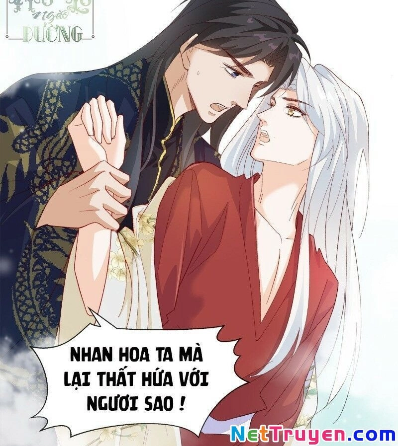 Ảnh Đế Yêu Hồ Chapter 40 - 33