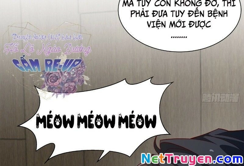 Ảnh Đế Yêu Hồ Chapter 41 - 53