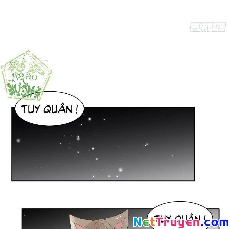 Ảnh Đế Yêu Hồ Chapter 44 - 4