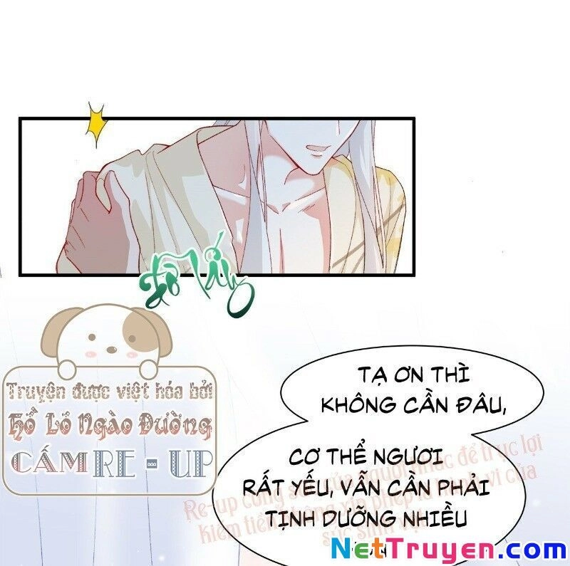 Ảnh Đế Yêu Hồ Chapter 44 - 11