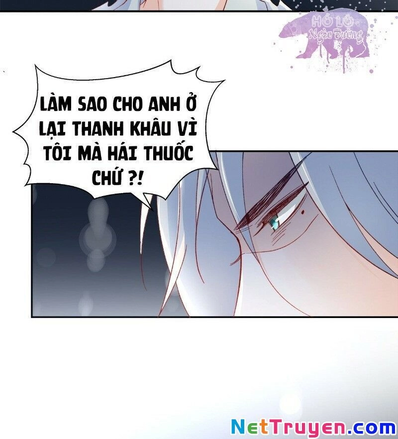 Ảnh Đế Yêu Hồ Chapter 45 - 13