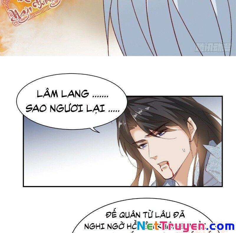 Ảnh Đế Yêu Hồ Chapter 48 - 40