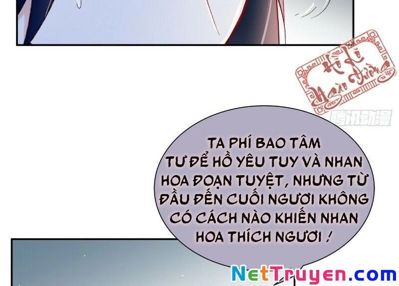 Ảnh Đế Yêu Hồ Chapter 48 - 68