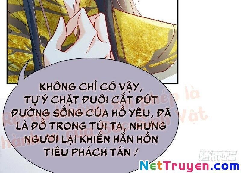 Ảnh Đế Yêu Hồ Chapter 48 - 70
