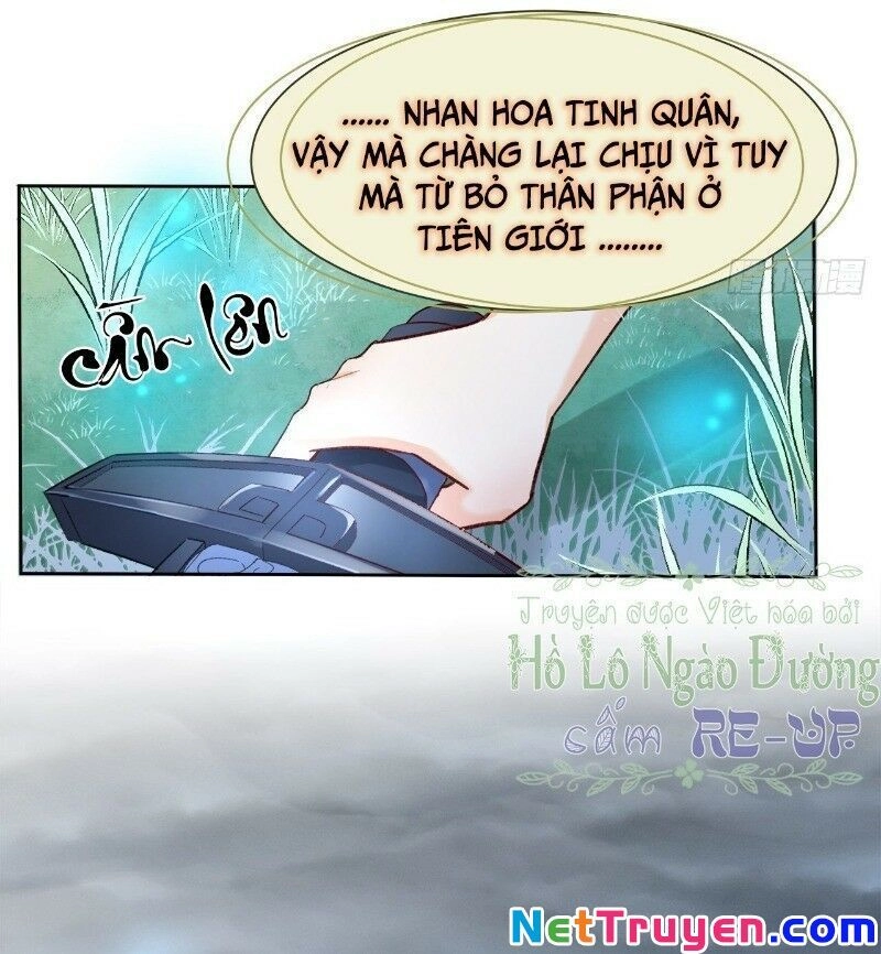 Ảnh Đế Yêu Hồ Chapter 49 - 11