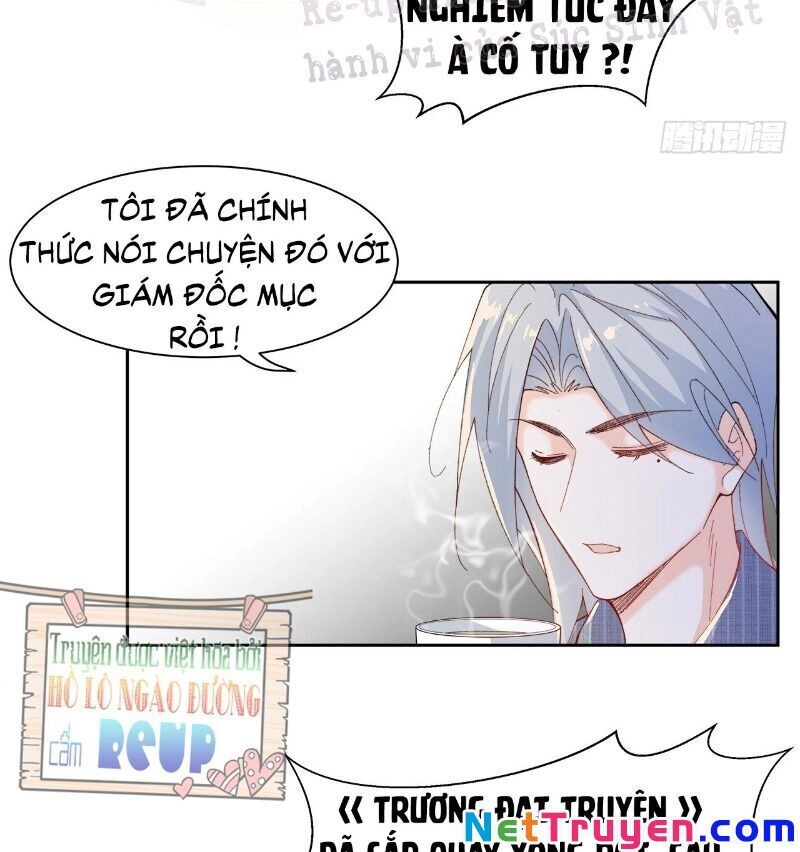 Ảnh Đế Yêu Hồ Chapter 51 - 5