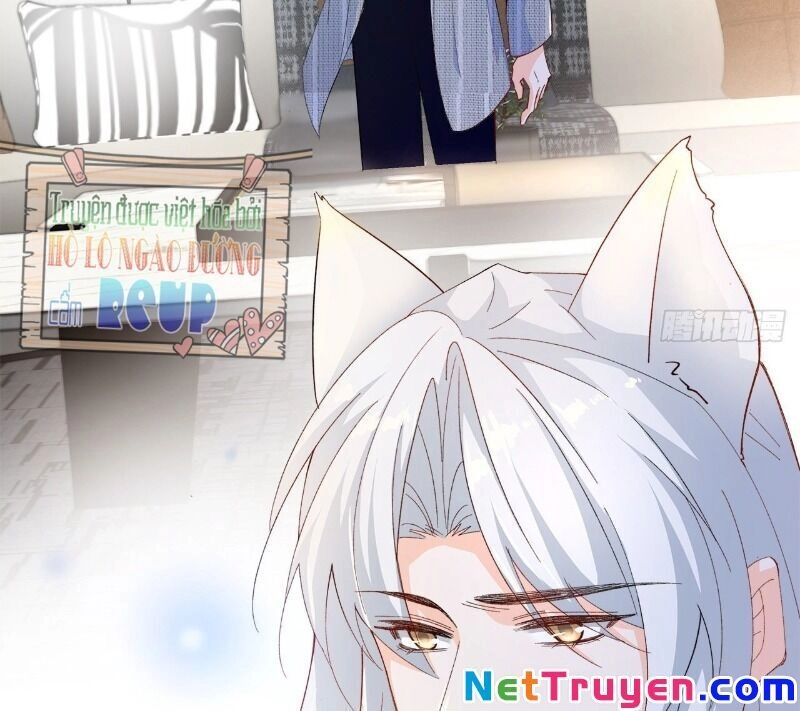 Ảnh Đế Yêu Hồ Chapter 51 - 17