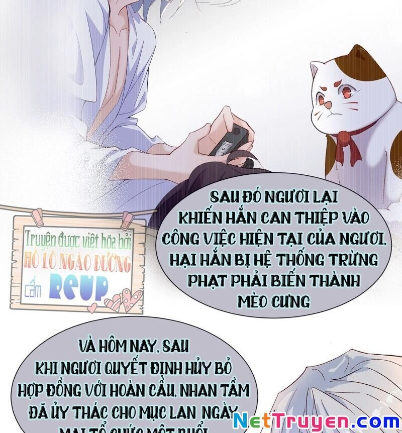 Ảnh Đế Yêu Hồ Chapter 51 - 41