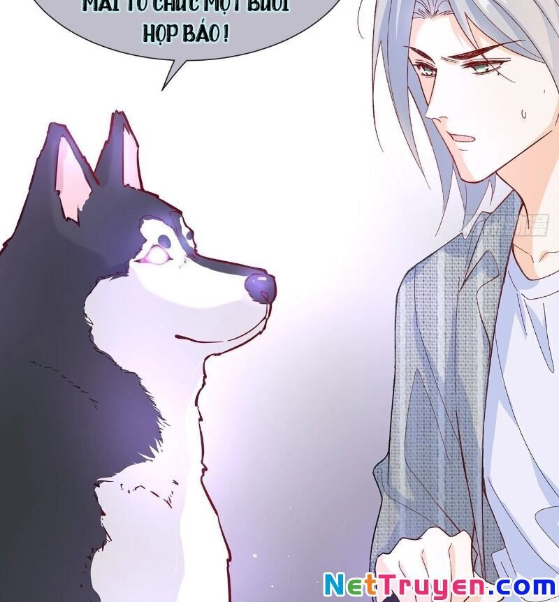 Ảnh Đế Yêu Hồ Chapter 51 - 42