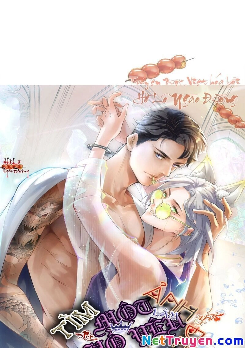 Ảnh Đế Yêu Hồ Chapter 55 - 1