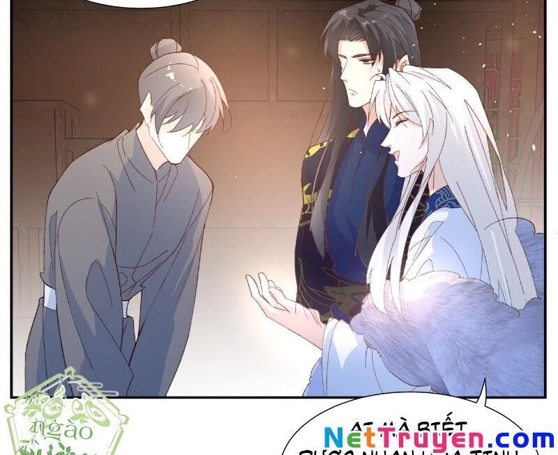 Ảnh Đế Yêu Hồ Chapter 56 - 40