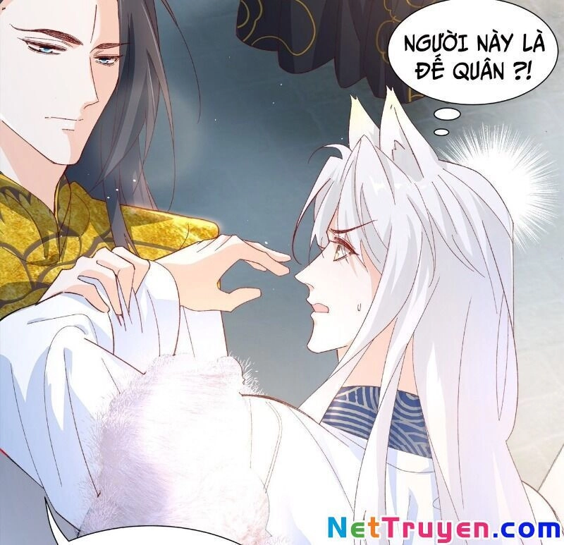 Ảnh Đế Yêu Hồ Chapter 56 - 58