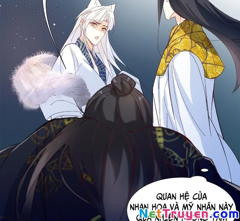 Ảnh Đế Yêu Hồ Chapter 56 - 67