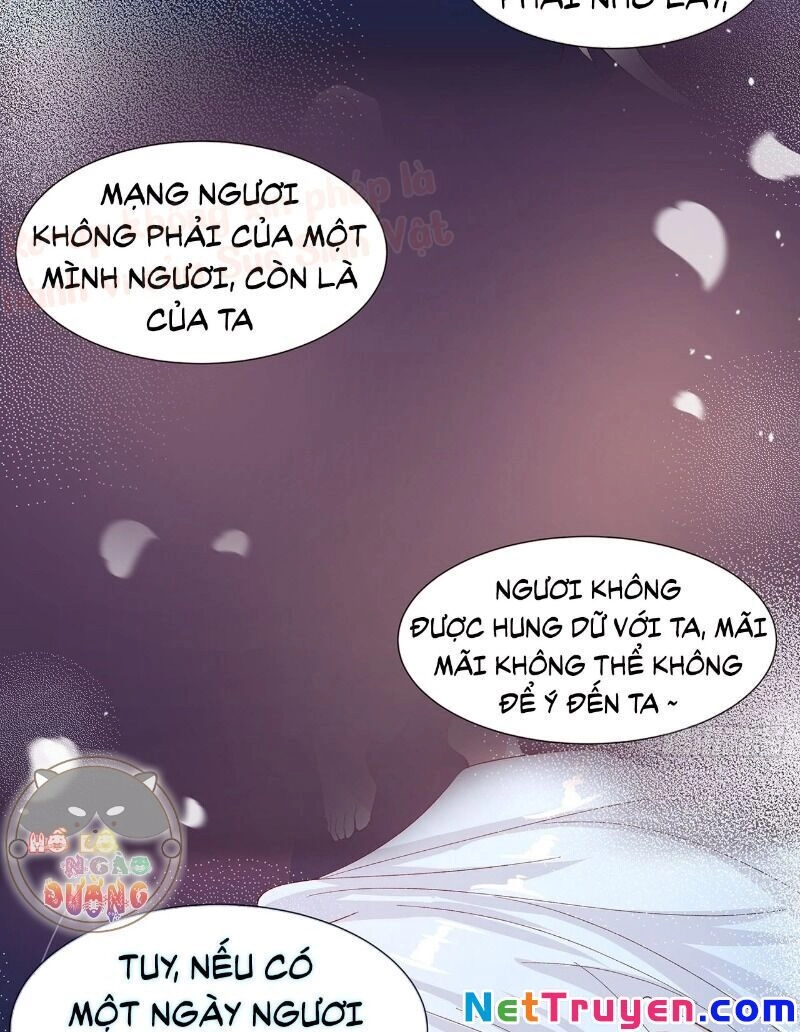 Ảnh Đế Yêu Hồ Chapter 58 - 36