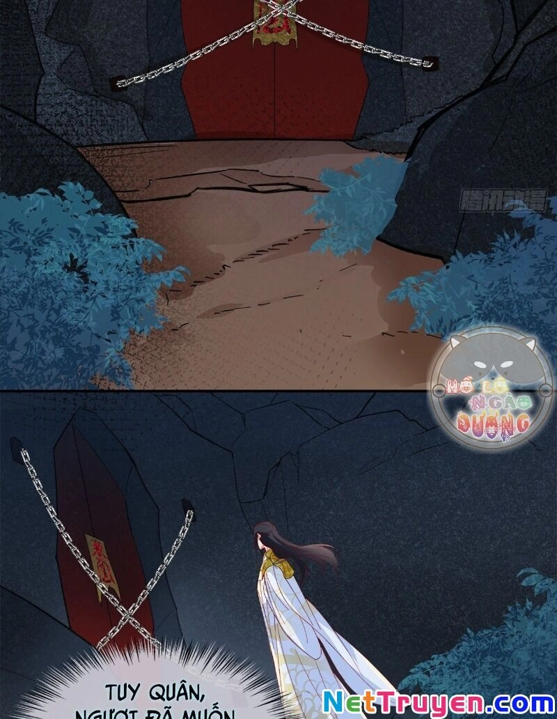 Ảnh Đế Yêu Hồ Chapter 58 - 42