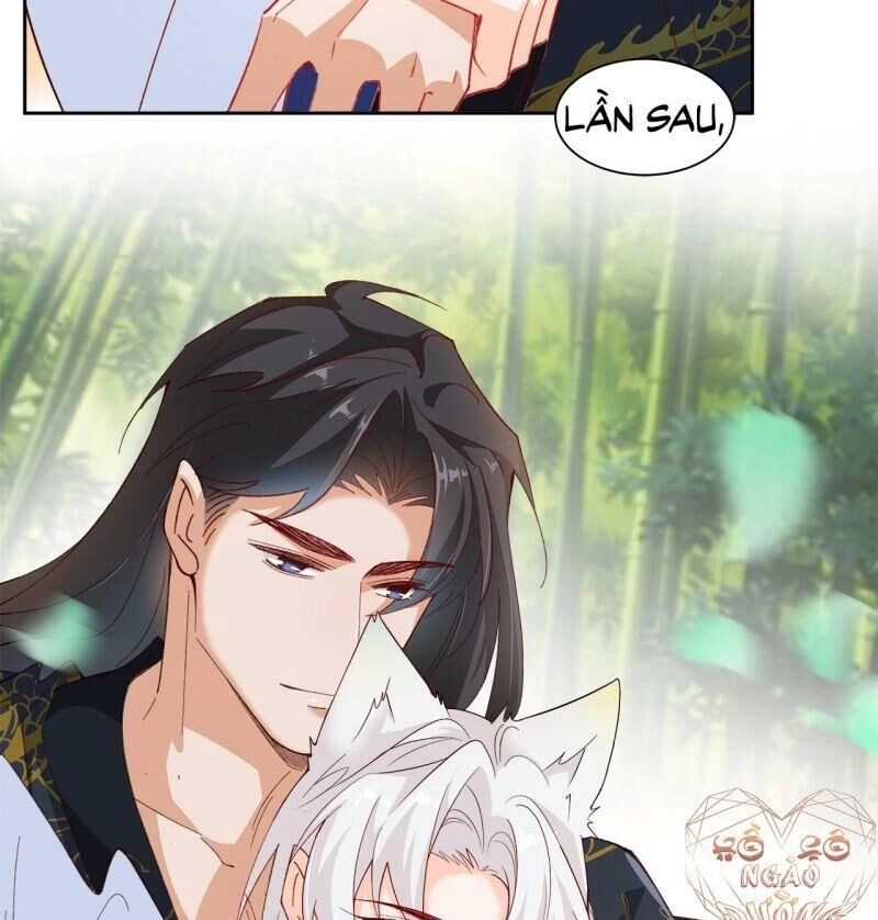 Ảnh Đế Yêu Hồ Chapter 59 - 16