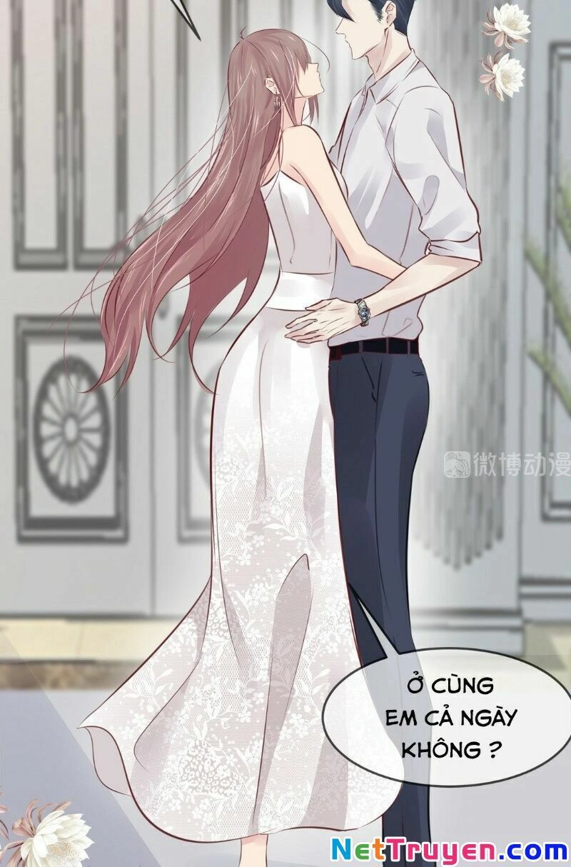 Thương Tiên Sinh Mã Giáp Của Anh Lại Rơi Rồi Chapter 7 - 6