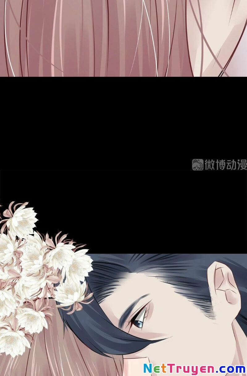 Thương Tiên Sinh Mã Giáp Của Anh Lại Rơi Rồi Chapter 7 - 9