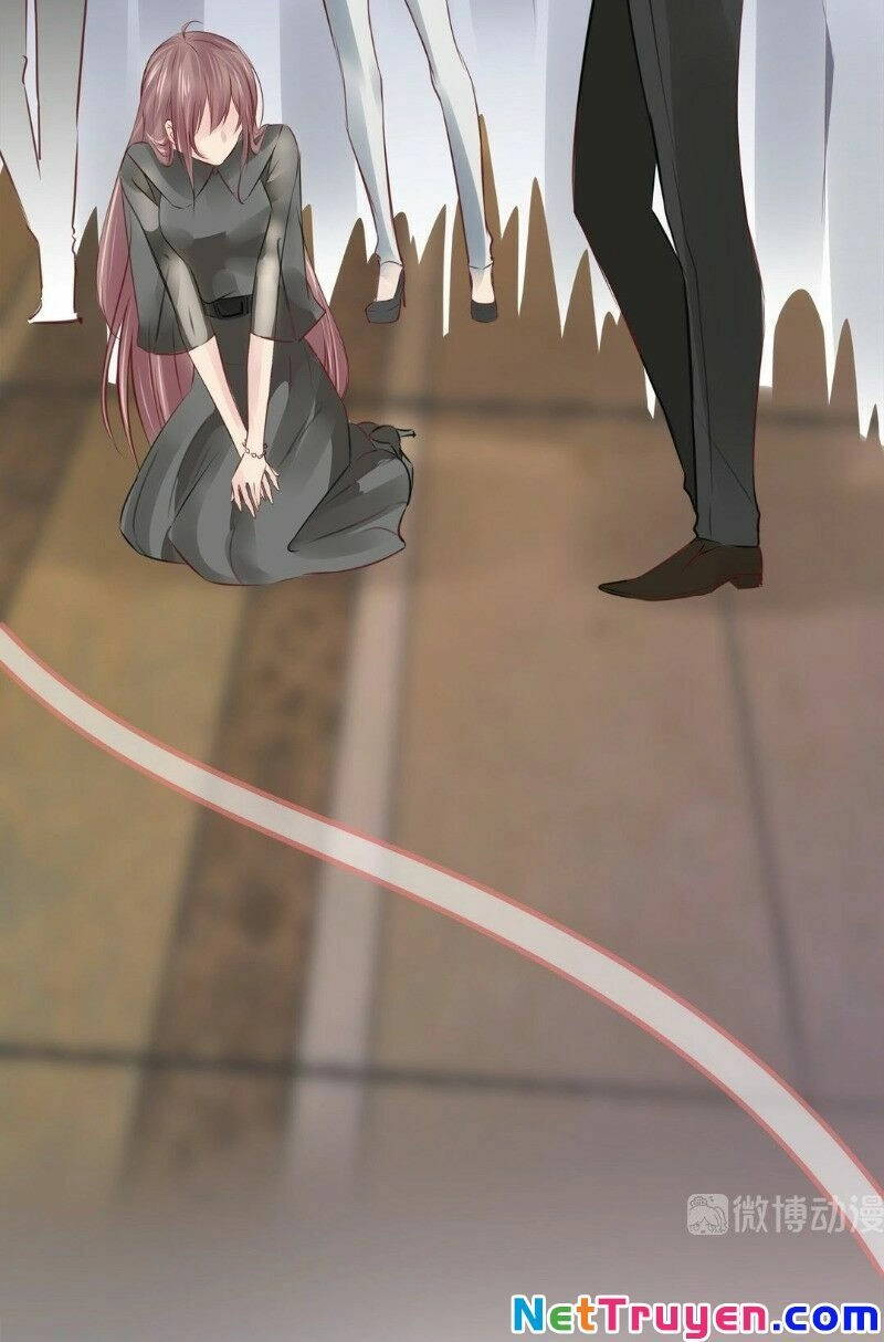 Thương Tiên Sinh Mã Giáp Của Anh Lại Rơi Rồi Chapter 7 - 20