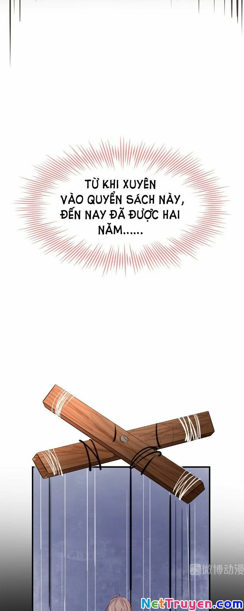 Thương Tiên Sinh Mã Giáp Của Anh Lại Rơi Rồi Chapter 7 - 37