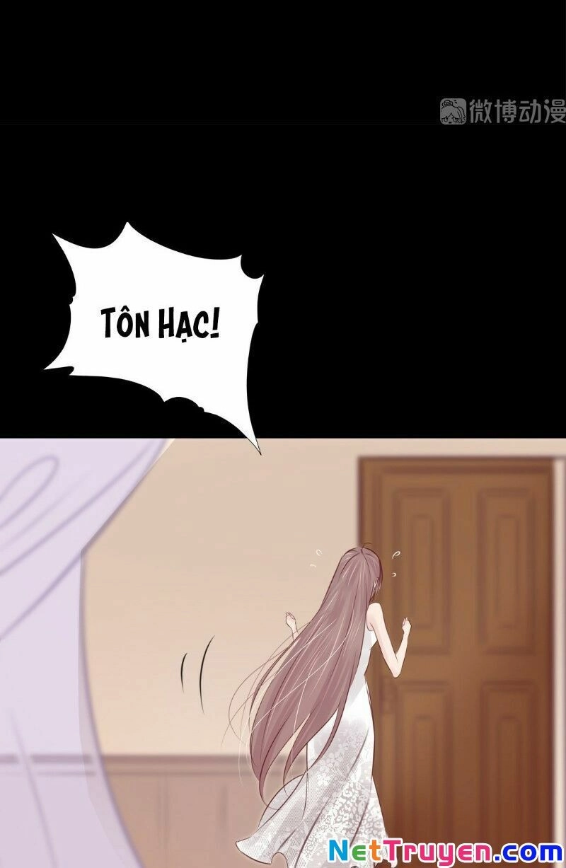 Thương Tiên Sinh Mã Giáp Của Anh Lại Rơi Rồi Chapter 7 - 45