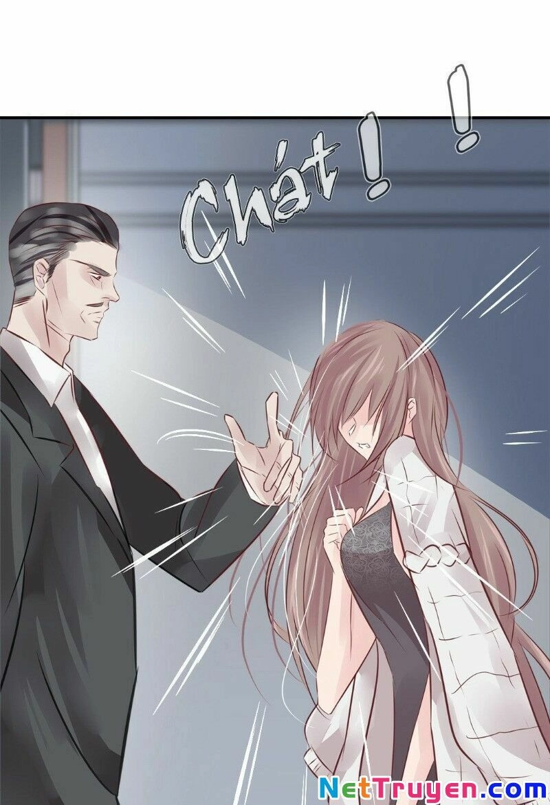 Thương Tiên Sinh Mã Giáp Của Anh Lại Rơi Rồi Chapter 7 - 71