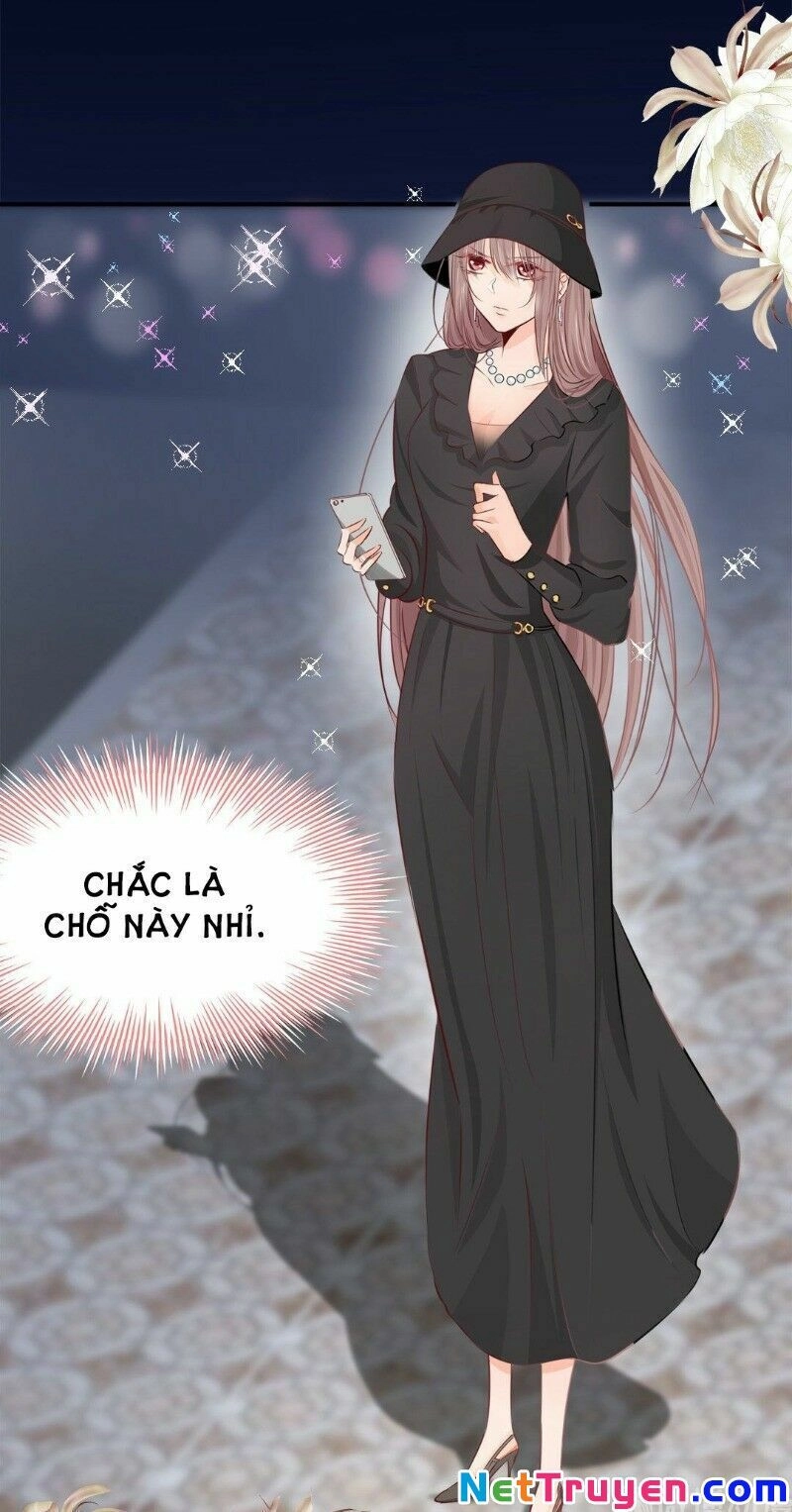 Thương Tiên Sinh Mã Giáp Của Anh Lại Rơi Rồi Chapter 9 - 1