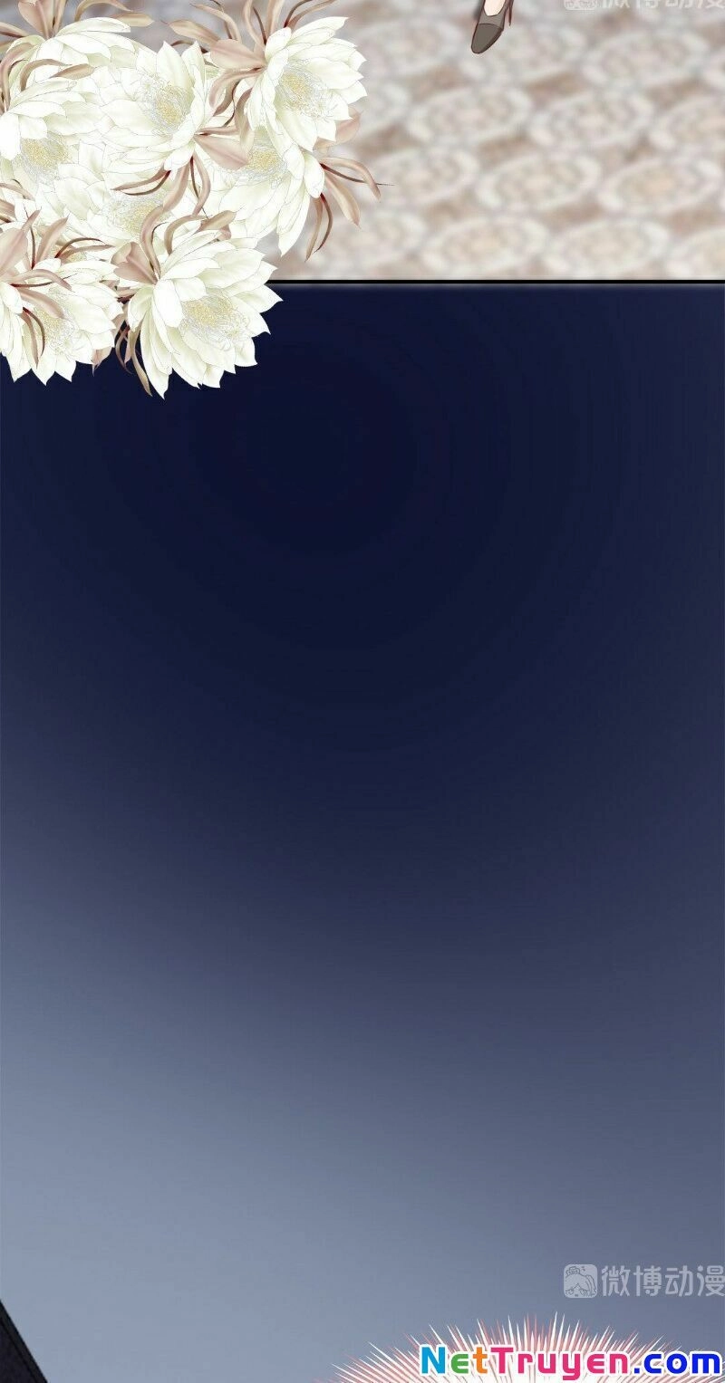 Thương Tiên Sinh Mã Giáp Của Anh Lại Rơi Rồi Chapter 9 - 2