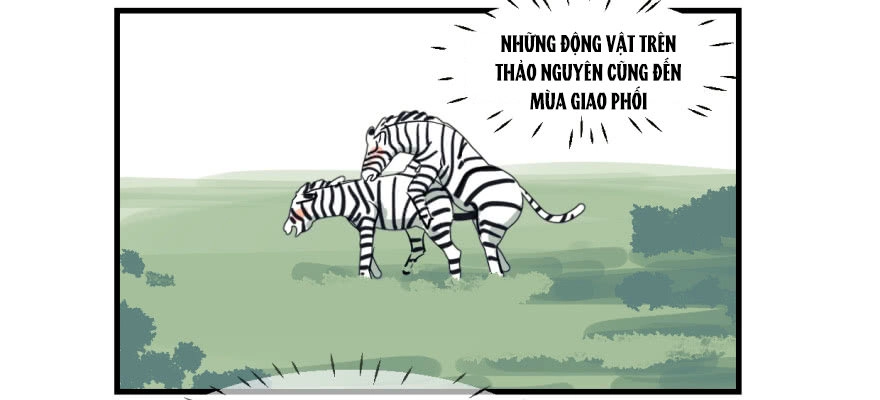 Truy Bắt Ngao Ngao Chapter 10 - 4