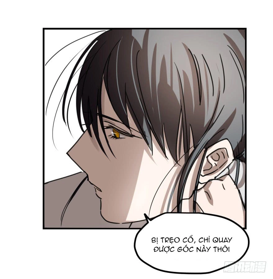 Truy Bắt Ngao Ngao Chapter 11 - 7